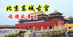 身体白净的胖女人被大屌操的喘不过气来操逼毛片视频中国北京-东城古宫旅游风景区